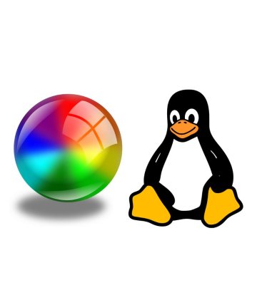 Linux nebo Windows?